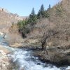 IMG_7990